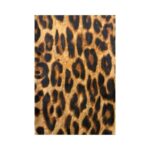 Bufanda de Algodón con Bonito Diseño Estilo Animal Print para Mujer